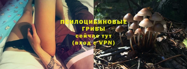 герыч Алексин